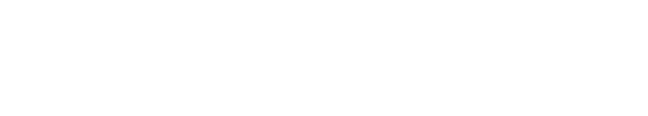PiraatGigant